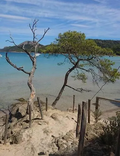 Διαμέρισμα Neuf A 150m De La