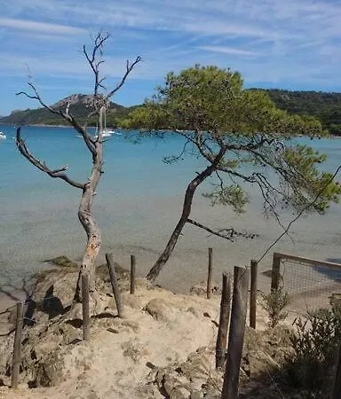 Daire Neuf A 150m De La